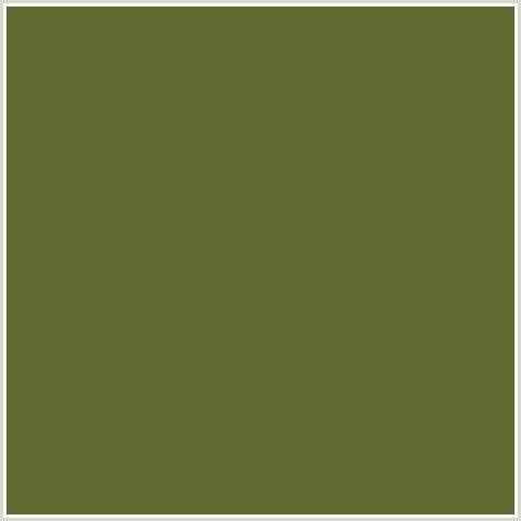 5E692D Hex Color Image (COSTA DEL SOL, GREEN YELLOW)