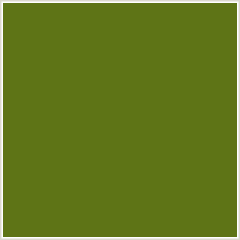 5E7416 Hex Color Image (GREEN YELLOW, OLIVETONE)