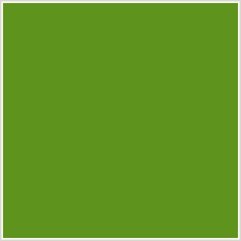 5E931D Hex Color Image (GREEN YELLOW, VIDA LOCA)