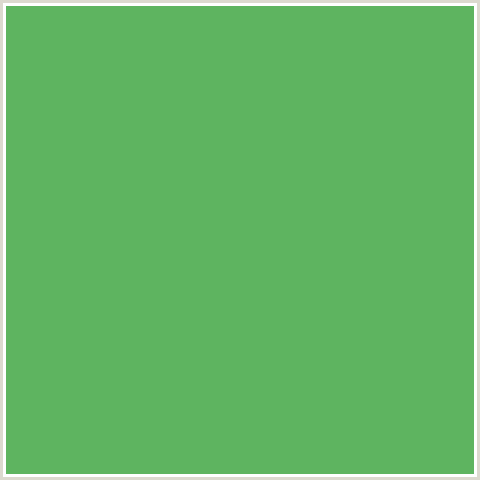 5EB460 Hex Color Image (FERN, GREEN)