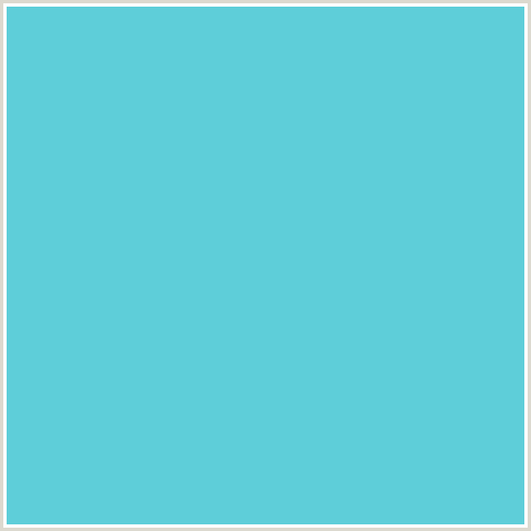 5ECED9 Hex Color Image (LIGHT BLUE, VIKING)