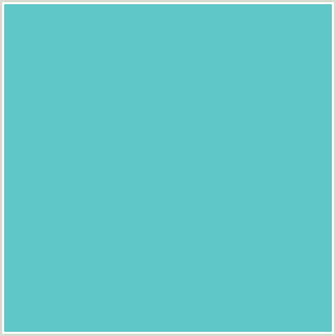 5FC7C7 Hex Color Image (DOWNY, LIGHT BLUE, TEAL)