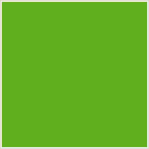 60B01E Hex Color Image (GREEN, LIMA)