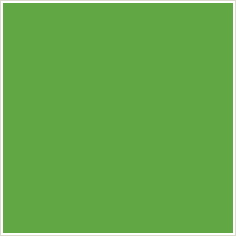 61A744 Hex Color Image (APPLE, GREEN)
