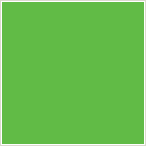 61BB46 Hex Color Image (APPLE, GREEN)