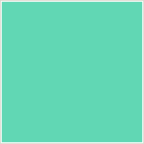 61D7B4 Hex Color Image (BLUE GREEN, DOWNY)