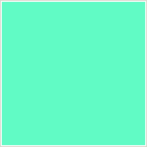 61FBC5 Hex Color Image (AQUAMARINE, GREEN BLUE)