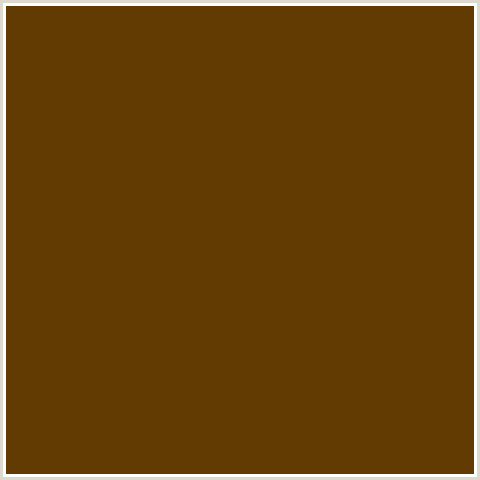 623B02 Hex Color Image (BROWN, ORANGE, SADDLE BROWN)