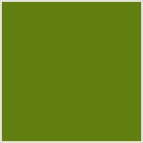 628012 Hex Color Image (GREEN YELLOW, OLIVETONE)