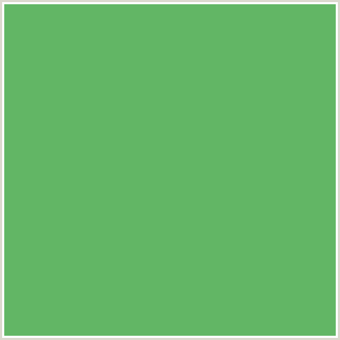 62B665 Hex Color Image (FERN, GREEN)