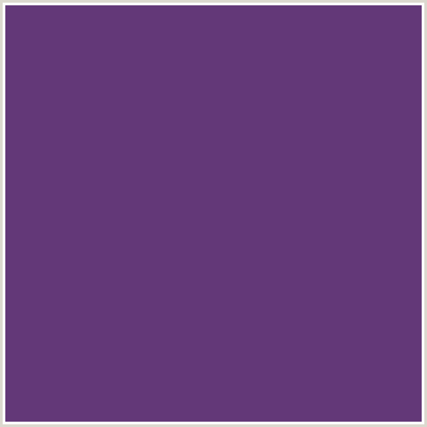 633878 Hex Color Image (EMINENCE, PURPLE, VIOLET)