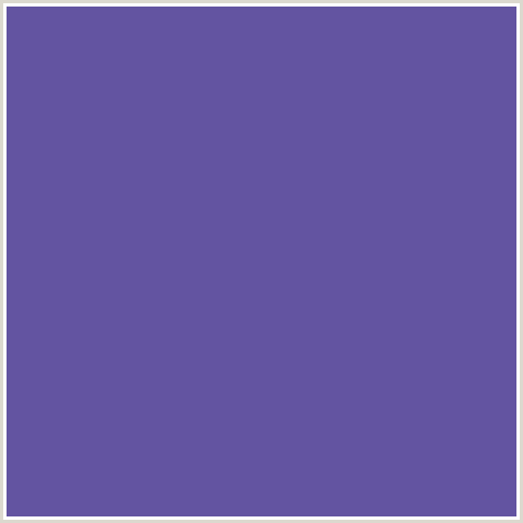 6354A1 Hex Color Image (BLUE VIOLET, BUTTERFLY BUSH)