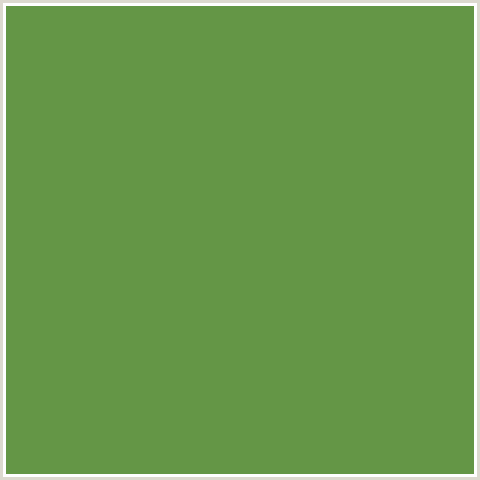 649646 Hex Color Image (GREEN, HIPPIE GREEN)