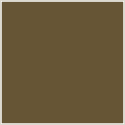 665535 Hex Color Image (BROWN, COSTA DEL SOL, ORANGE)