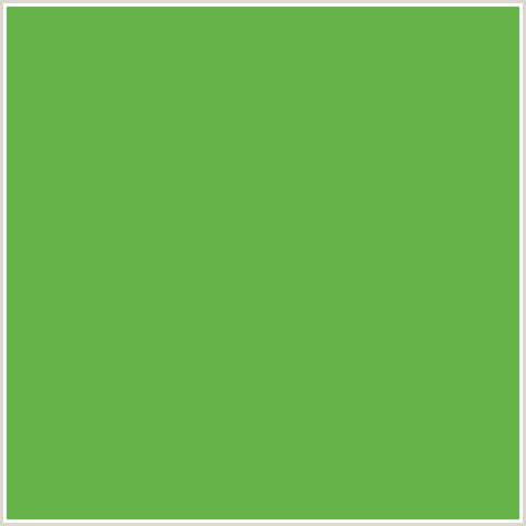 66B34A Hex Color Image (APPLE, GREEN)