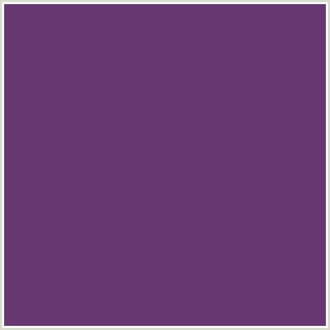 673772 Hex Color Image (EMINENCE, PURPLE, VIOLET)