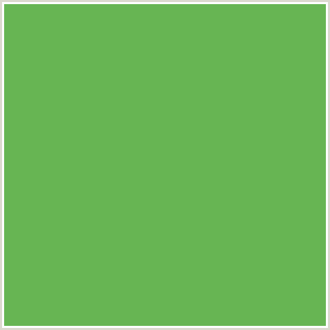 67B553 Hex Color Image (FERN, GREEN)