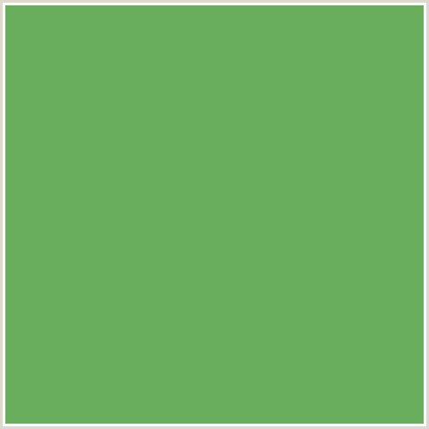 68AE5C Hex Color Image (FERN, GREEN)