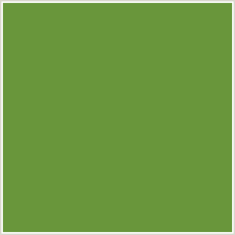 69963B Hex Color Image (APPLE, FOREST GREEN, GREEN)