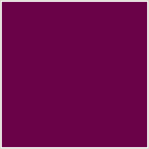 6A0248 Hex Color Image (DEEP PINK, FUCHSIA, FUSCHIA, HOT PINK, MAGENTA, TYRIAN PURPLE)