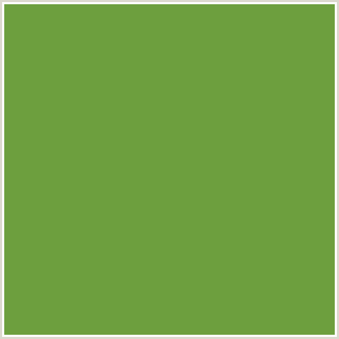 6D9F3E Hex Color Image (APPLE, GREEN)