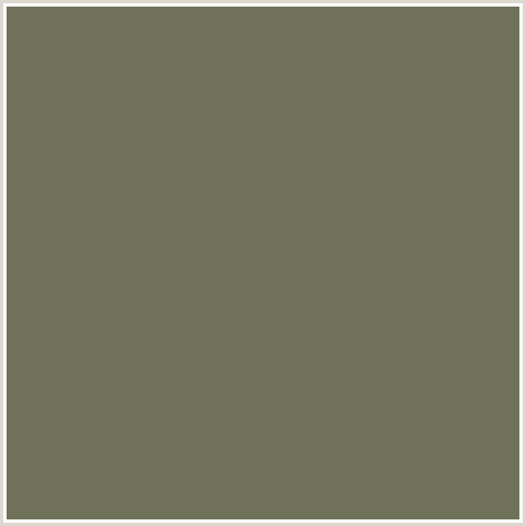 6F7259 Hex Color Image (KOKODA, YELLOW GREEN)