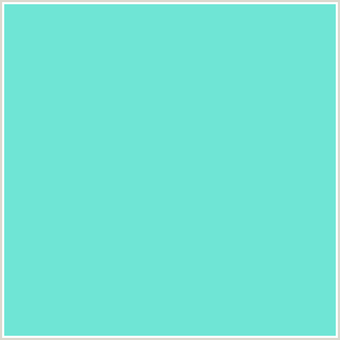 6FE5D5 Hex Color Image (AQUAMARINE BLUE, BLUE GREEN)