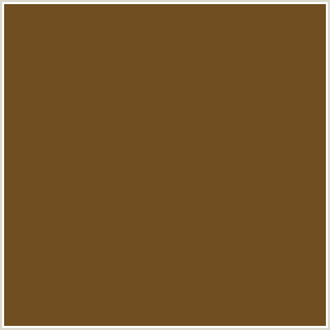 704E21 Hex Color Image (BROWN, DALLAS, ORANGE)