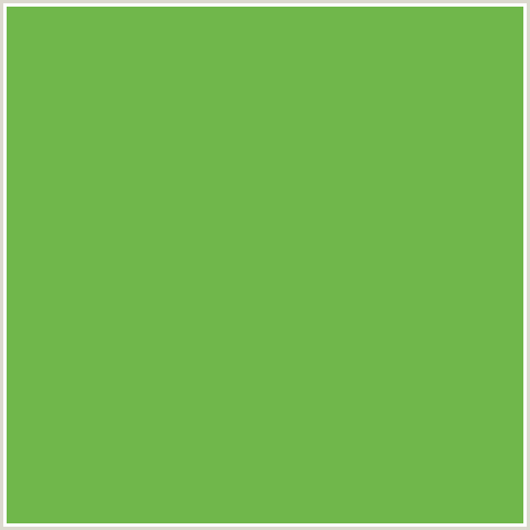 70B74B Hex Color Image (GREEN, MANTIS)