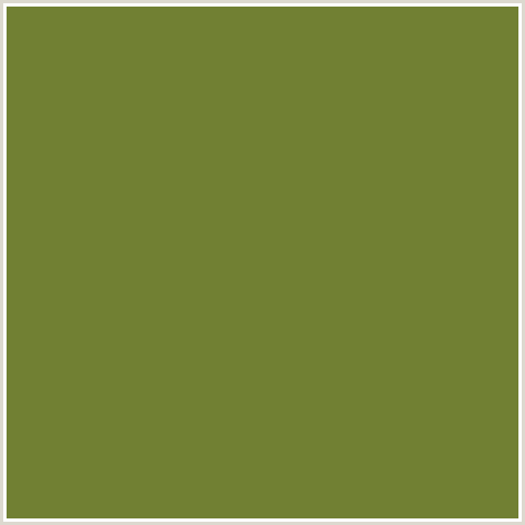 718033 Hex Color Image (GREEN YELLOW, PESTO)