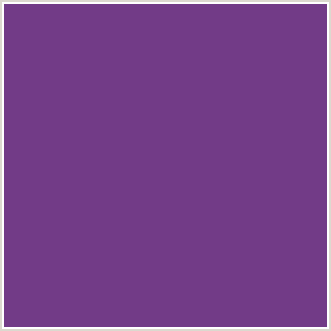 723B87 Hex Color Image (AFFAIR, PURPLE, VIOLET)