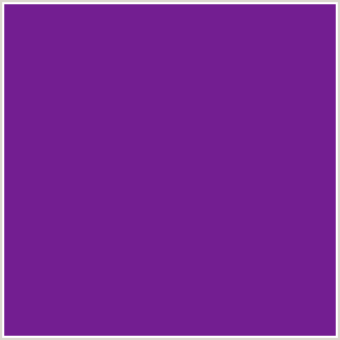 731E91 Hex Color Image (PURPLE, SEANCE, VIOLET)