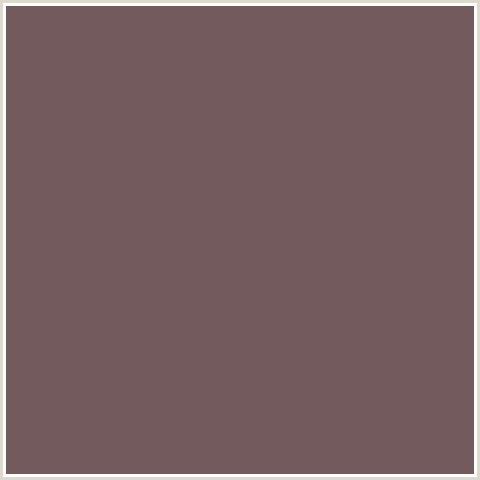 735B5D Hex Color Image (CRIMSON, MAROON, RED, RUSSETT)