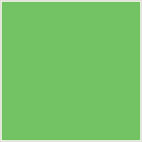 73C263 Hex Color Image (GREEN, MANTIS)