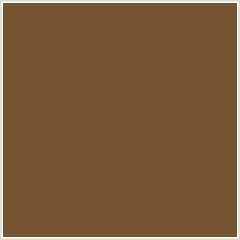 755431 Hex Color Image (BROWN, OLD COPPER, ORANGE)