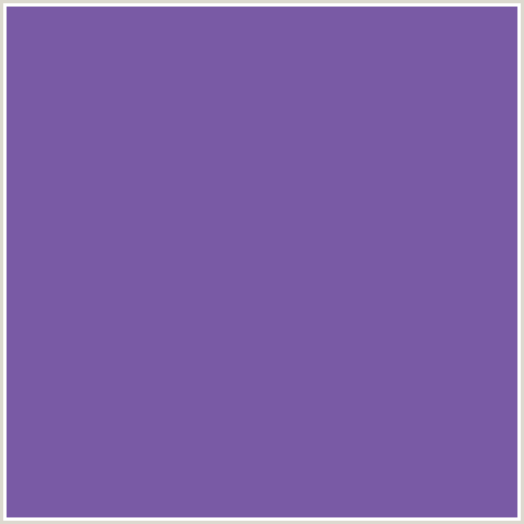 795AA5 Hex Color Image (BLUE VIOLET, DELUGE)