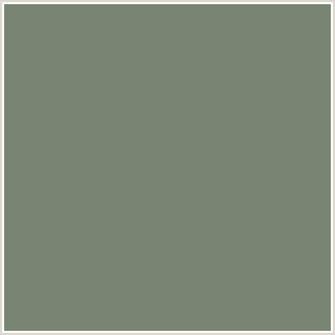 798572 Hex Color Image (CAMOUFLAGE GREEN, GREEN)