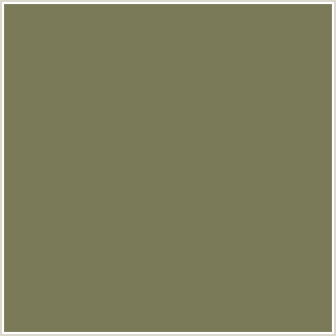 7A7A58 Hex Color Image (CROCODILE, YELLOW GREEN)