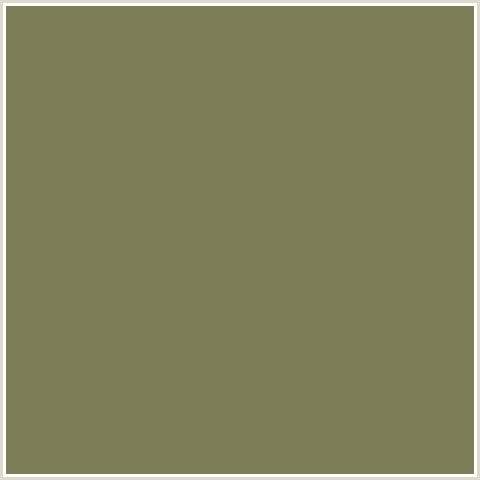7C7C56 Hex Color Image (GO BEN, YELLOW GREEN)