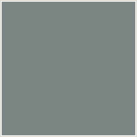 7D8484 Hex Color Image (GUNSMOKE, LIGHT BLUE)