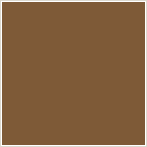 7E5A37 Hex Color Image (BROWN, ORANGE, POTTERS CLAY)