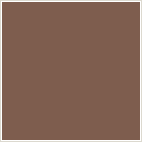 7E5D4E Hex Color Image (RED ORANGE, ROMAN COFFEE)