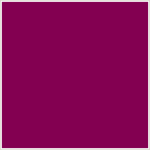 830051 Hex Color Image (DEEP PINK, FUCHSIA, FUSCHIA, HOT PINK, MAGENTA, SIREN)