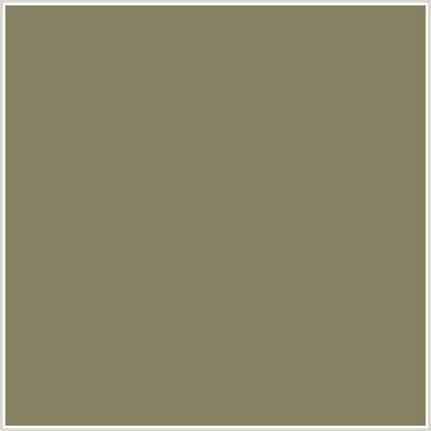 848060 Hex Color Image (CLAY CREEK, YELLOW)