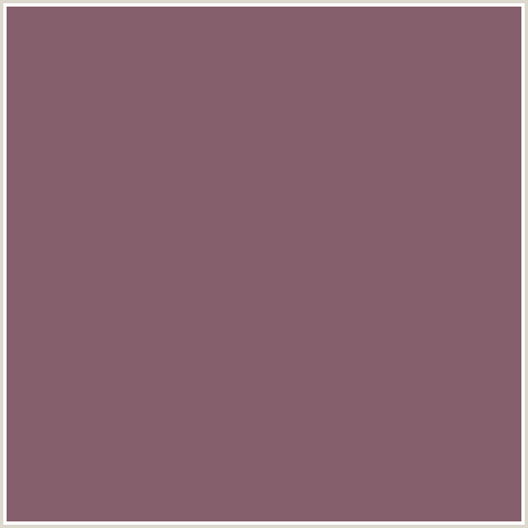 855F6B Hex Color Image (CRIMSON, FALCON, MAROON, RED)