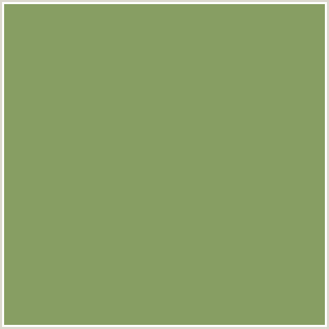 879E63 Hex Color Image (ASPARAGUS, GREEN YELLOW)