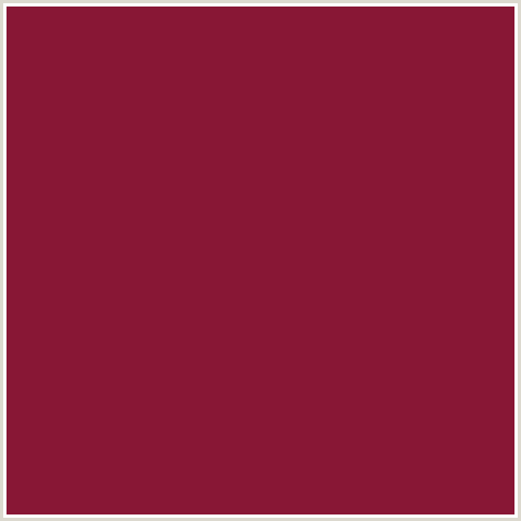 881735 Hex Color Image (CLARET, RED)