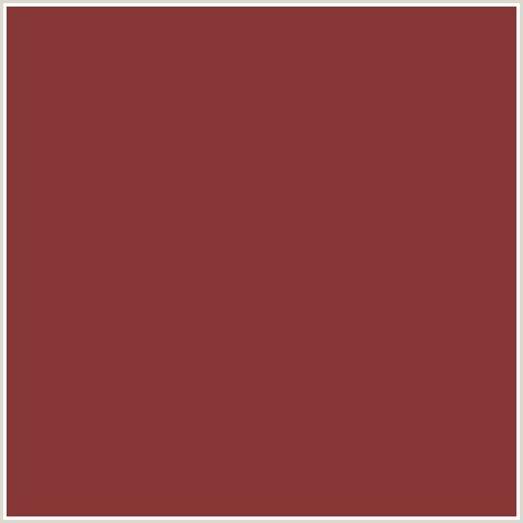883737 Hex Color Image (RED, SANGUINE BROWN)
