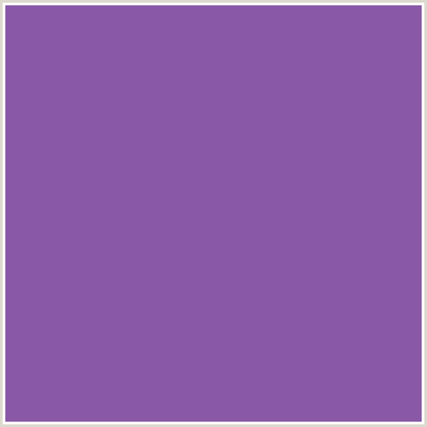 8959A8 Hex Color Image (DELUGE, VIOLET BLUE)