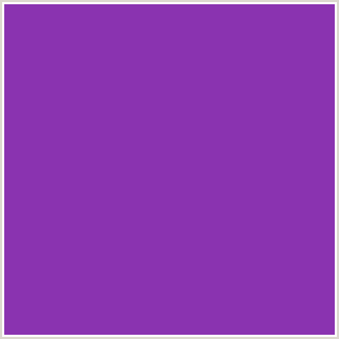 8A33B0 Hex Color Image (PURPLE, PURPLE HEART, VIOLET)